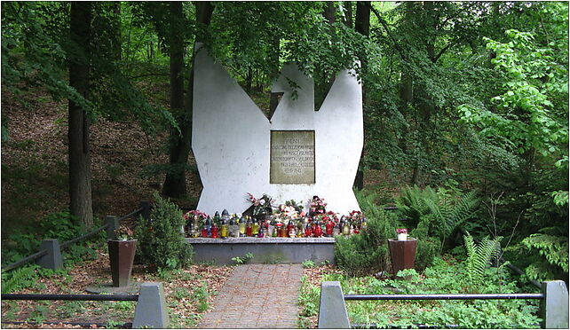 Brzezinki monument, Brzezinki - Zdjęcia