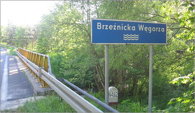 Brzeznicka Wegorza table, Lesięcinek - Zdjęcia