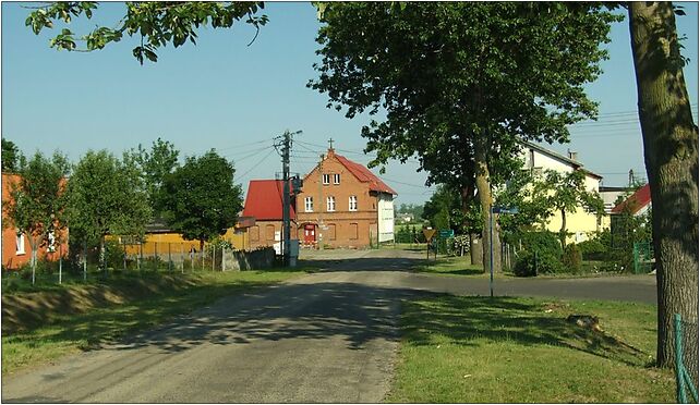 Brzuśce, cesta, Topolowa, Brzuśce 83-120 - Zdjęcia