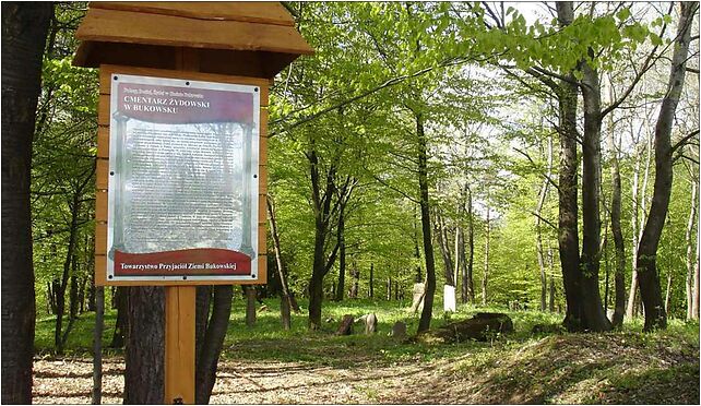 Bukowsko jewish cemetary sign1, Łazy, Łazy 38-505 - Zdjęcia