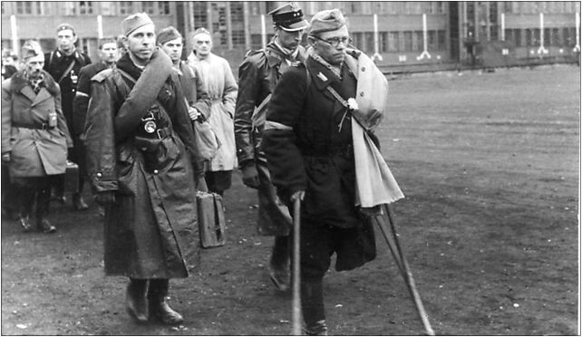 Bundesarchiv Bild 146-1984-079-10, Warschauer Aufstand, polnische Kriegsgefangene 02-009 - Zdjęcia