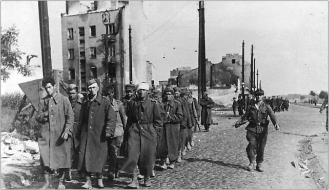 Bundesarchiv Bild 146-2005-0039, Warschauer Aufstand, Kapitulation 02-368 - Zdjęcia