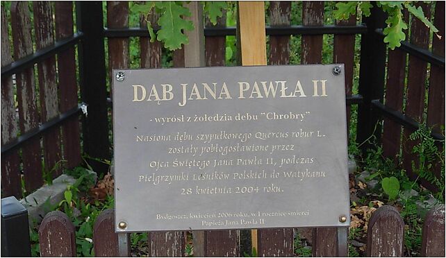 Bydgoszcz Sanktuarium Nowych Męczenników Dąb Jana Pawła II 85-863 - Zdjęcia