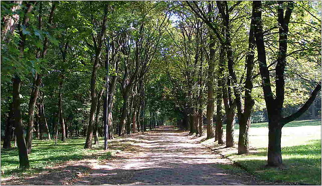 Bytom - Park, Wrocławska, Bytom 41-902 - Zdjęcia