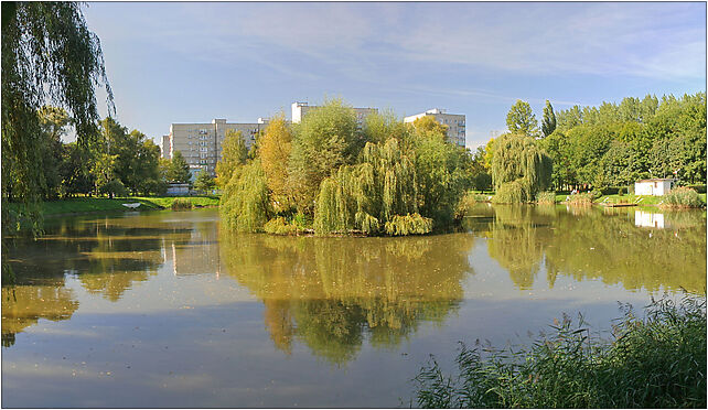 Bytom - Pond in park 01, Olimpijska, Bytom 41-902 - Zdjęcia