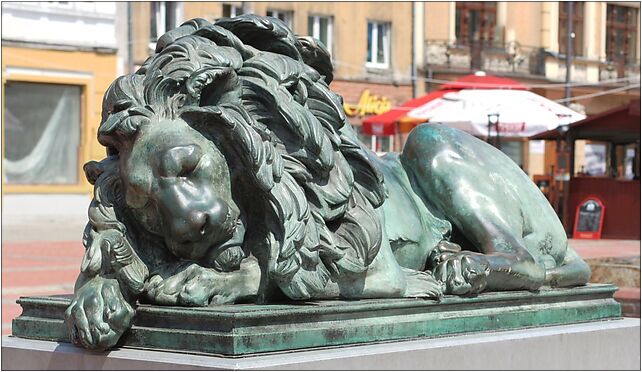 Bytom - Sleeping lion 01, Gliwicka 13, Bytom 41-902 - Zdjęcia