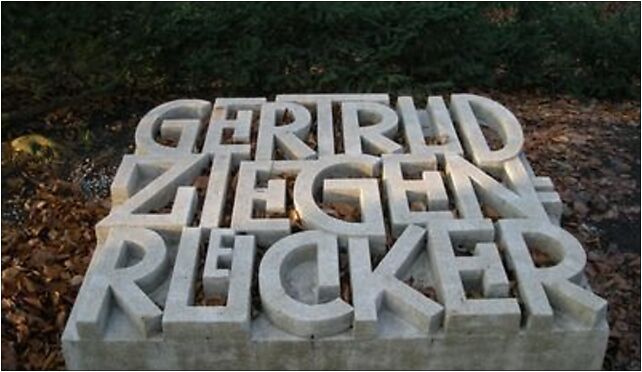 Central Cemetery in Szczecin 6, Mieszka I, Szczecin od 71-046 do 71-080 - Zdjęcia