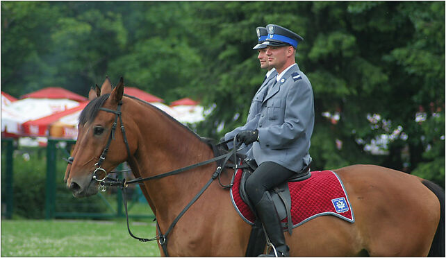 Central Silesian Park - Mounted police 01, Żyrafy, al., Chorzów 41-516 - Zdjęcia