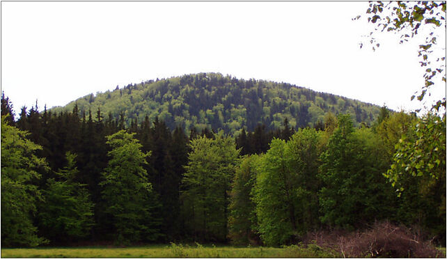 Chelmiec (Hochwald) mountain4 summer, Boguszów-Gorce - Zdjęcia