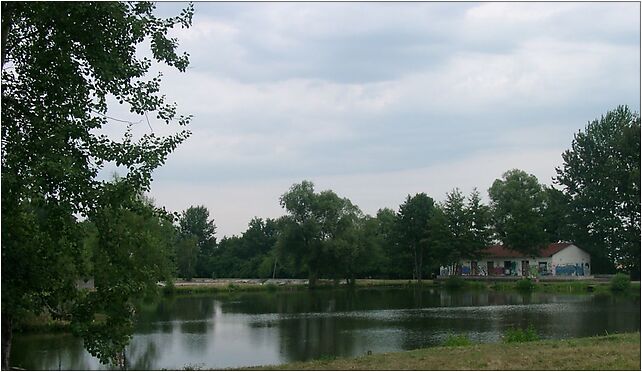 Chojnow 054 jeziorko, 94328, Chojnów 59-225 - Zdjęcia