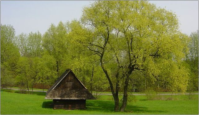 Chorzow skansen7, Harcerska, al., Chorzów od 41-500 do 41-503 - Zdjęcia