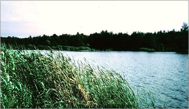 Chrzanow Groble ponds, Chrzanów - Zdjęcia