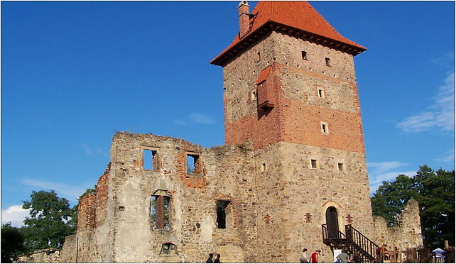 Chudów 2006 - Zamek 04, Podzamcze, Chudów 44-177 - Zdjęcia