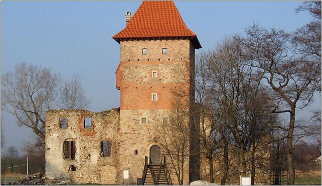 Chudów castle in March1, Podzamcze, Chudów 44-177 - Zdjęcia