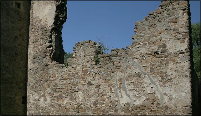 Chudów zamek fragment muru 24.05.2009 p, Podzamcze, Chudów 44-177 - Zdjęcia