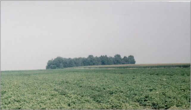 Cmentarzśródpolny030898, Raducz - Zdjęcia