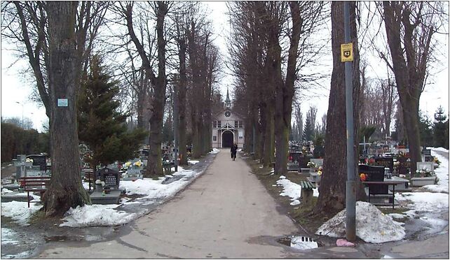 Cmentarz Komunalny w Kłodzku - główna aleja, Korytowska, Kłodzko 57-300 - Zdjęcia