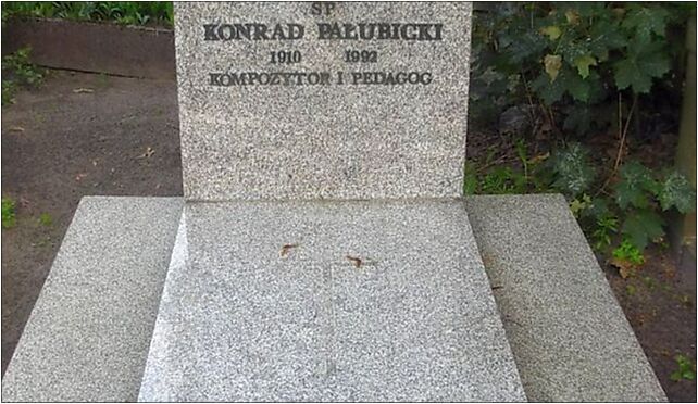 Cmentarz Nowofarny 3 K Pałubicki, Artyleryjska, Bydgoszcz 85-680 - Zdjęcia