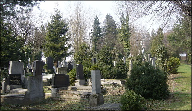 Cmentarz żydowski Bielsko-Biała - sektor A, Cieszyńska 92 43-300 - Zdjęcia