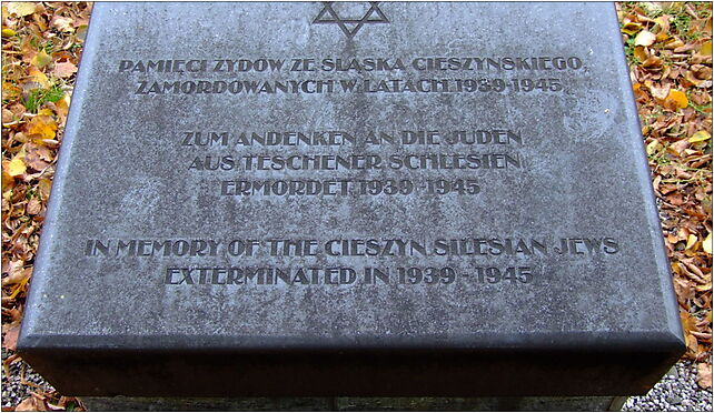 Cmentarz żydowski w Wilamowicach2, Ptasia 2, Skoczów 43-430 - Zdjęcia