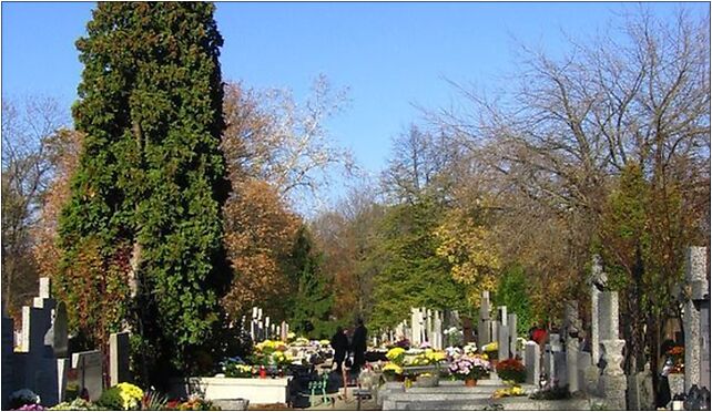 Cmentarz brodnowski, św. Wincentego, Warszawa od 03-533 do 03-534 - Zdjęcia