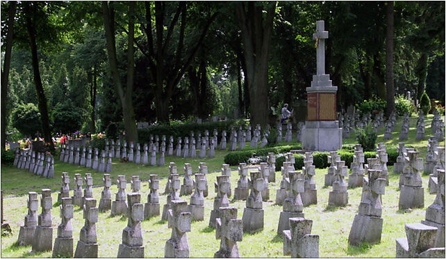 Cmentarz cieszyn, Katowicka, Cieszyn 43-400 - Zdjęcia