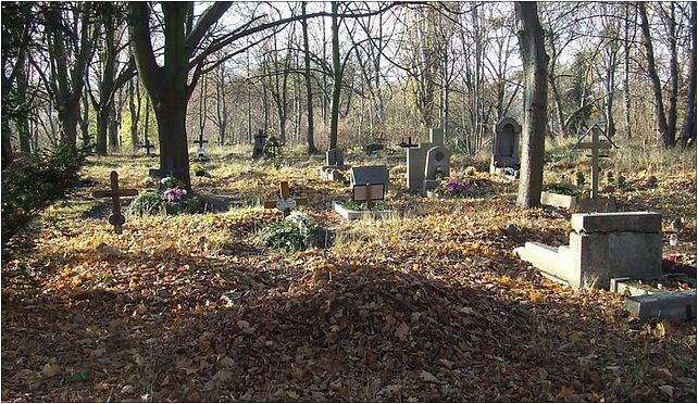 Cmentarz na debcu 4, Opolska, Poznań 61-402 - Zdjęcia