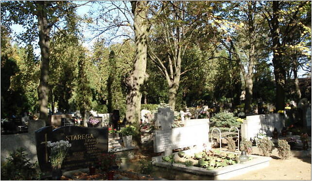 Cmentarz sołacki, Szczawnicka 2, Poznań 60-471 - Zdjęcia