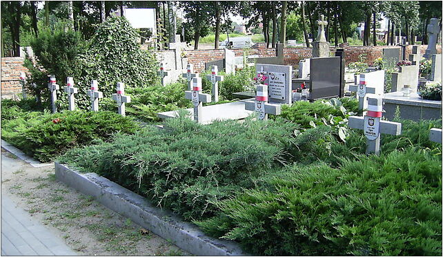 Cmentarz w Brwinowie, bitwa pod Brwinowem, Powstańców Warszawy 05-840 - Zdjęcia