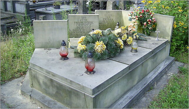 Cmentarz w Brwinowie, grob proboszczow, Powstańców Warszawy 05-840 - Zdjęcia