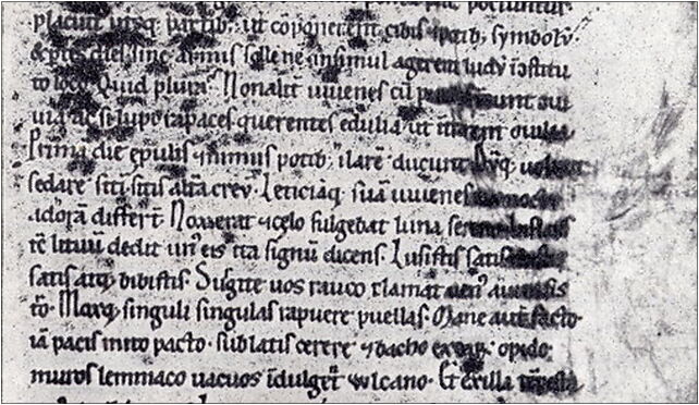 Cosmas-Chronica Boemorum, Kościelny, pl. 1, Kłodzko 57-300 - Zdjęcia