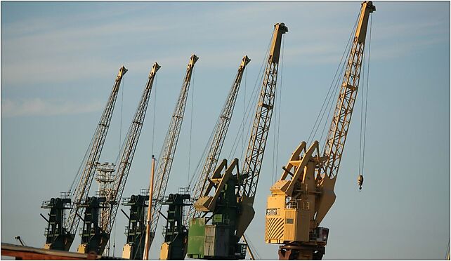 Cranes, Wendy Tadeusza, Szczecin 70-651 - Zdjęcia