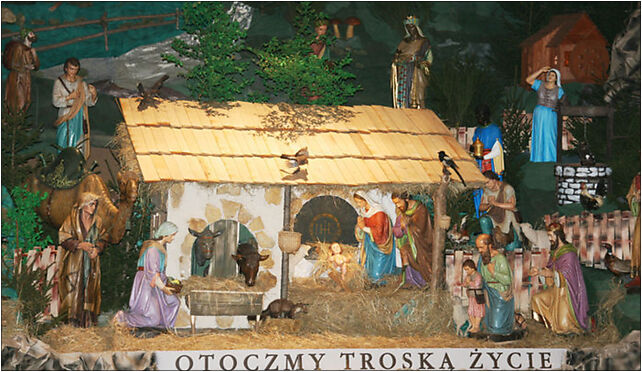 Crib in Panewniki 2008, Panewnicka, Katowice od 40-709 do 40-774 - Zdjęcia