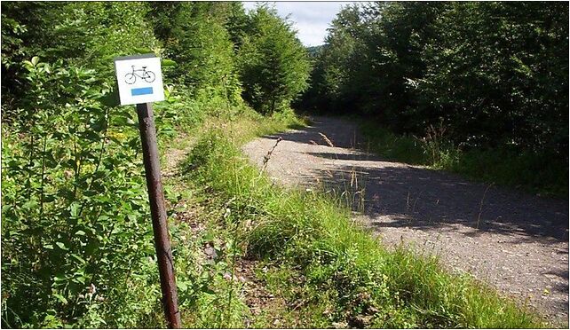 Cycleway sign cm02, Maniów, Maniów 38-543 - Zdjęcia