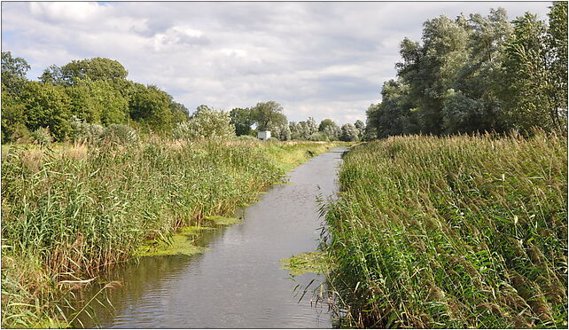 Czerwona by Kladno 2010-08 E, Kładno, Kładno 76-038 - Zdjęcia