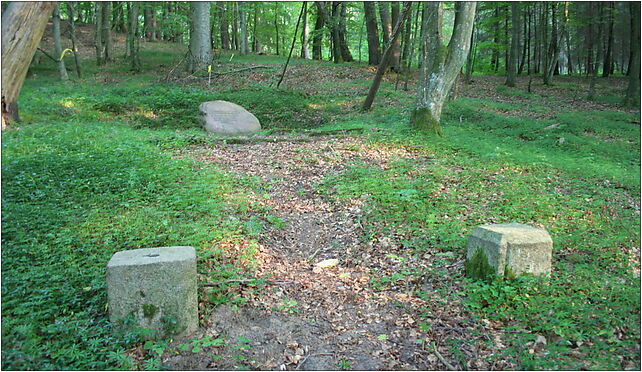 Czymanowo - Old cemetery 02, Kolkowo, Kolkowo 84-250 - Zdjęcia