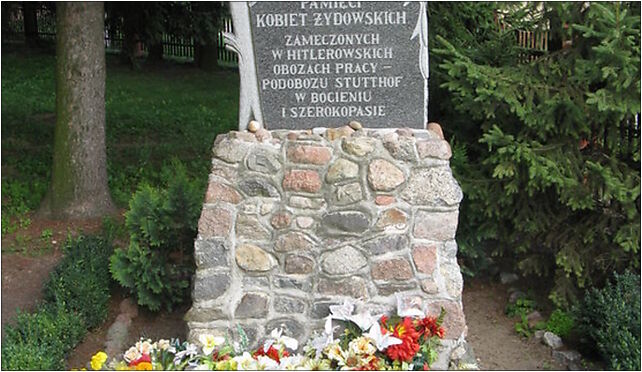 Dźwierzno Cementary monument, Dźwierzno551, Dźwierzno 87-140 - Zdjęcia