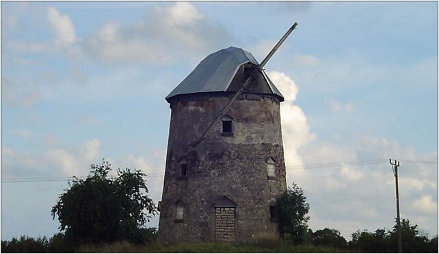 Dab bial windmill, Południowa 13, Dąbrowa Białostocka 16-200 - Zdjęcia