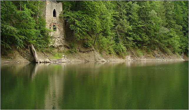 Daisy Lake, Poland, 2-13568, Witoszów Górny, Witoszów Górny 58-100 - Zdjęcia