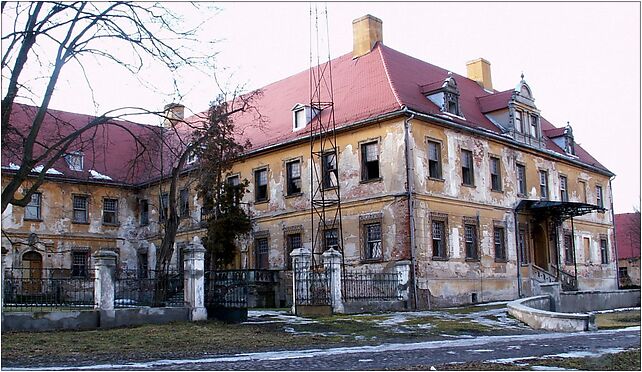 Dalkow palac, Dalków, Dalków 59-180 - Zdjęcia