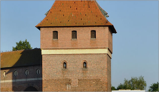 Dansker in Malbork, part 2, Starościńska, Malbork 82-200 - Zdjęcia