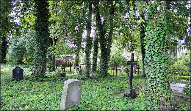 Dobieszewo (powiat lobeski) cmentarz, Dobieszewo, Dobieszewo 73-150 - Zdjęcia