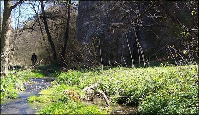 Dolina Kluczwody a9, Nad Strumykiem, Zelków 32-082 - Zdjęcia