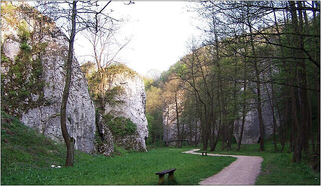 Dolina Mnikowska a8, Mników, Mników 32-084 - Zdjęcia