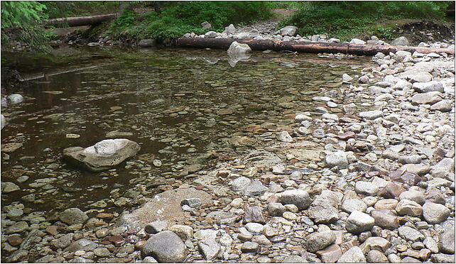 Dolina Panszczyca, Panszczycki Potok, Hala Gąsienicowa, Zakopane 34-500 - Zdjęcia