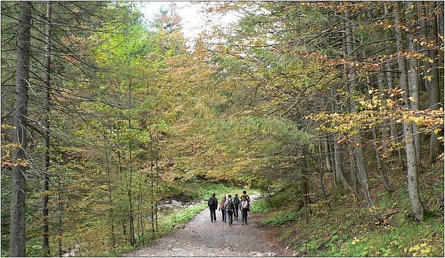 Dolina Strążyska na jesieni, Strążyska, Zakopane 34-500 - Zdjęcia