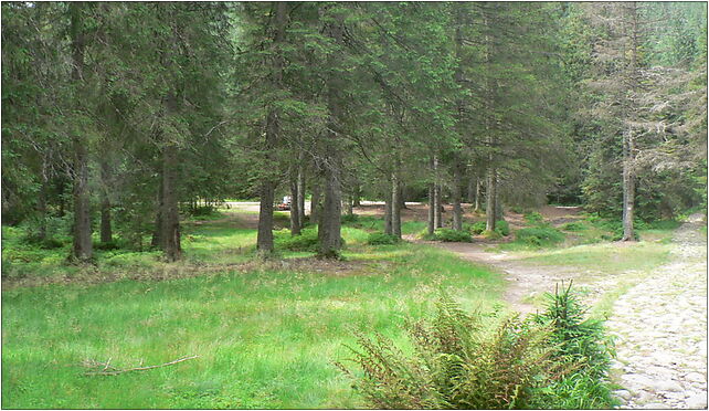 Dolina Suchej Wody, Psia Trawka, Hala Gąsienicowa, Zakopane 34-500 - Zdjęcia