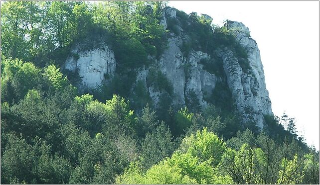 Dolina Szklarki a1, Żary - Zdjęcia