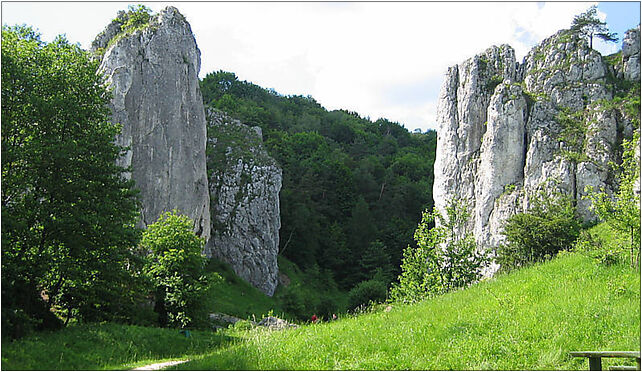 Dolina-bolechowicka-brama-1, Niwy, Karniowice 32-082 - Zdjęcia