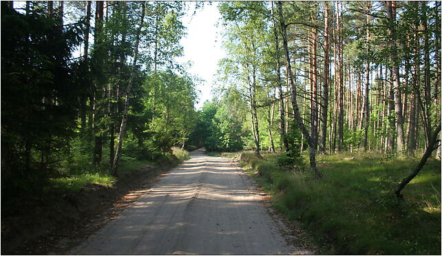 Domatówko - Puszcza Darżlubska, Mała Piaśnica 3, Mała Piaśnica 84-106 - Zdjęcia